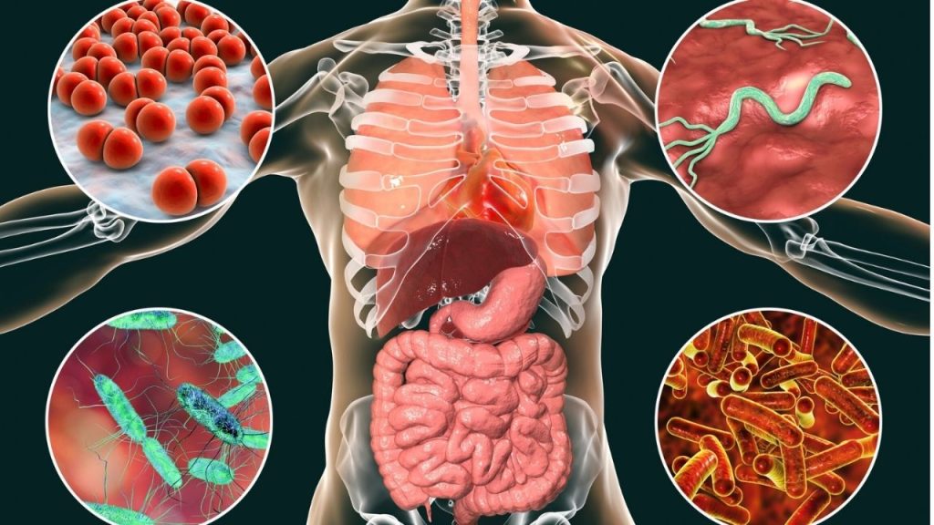 Human Diseases Types, Causes, Solutions, and Preventive Measures for a Healthy Life