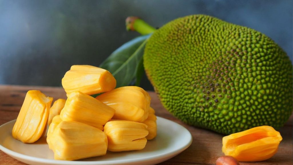 The Jackfruit Full of Nutrition