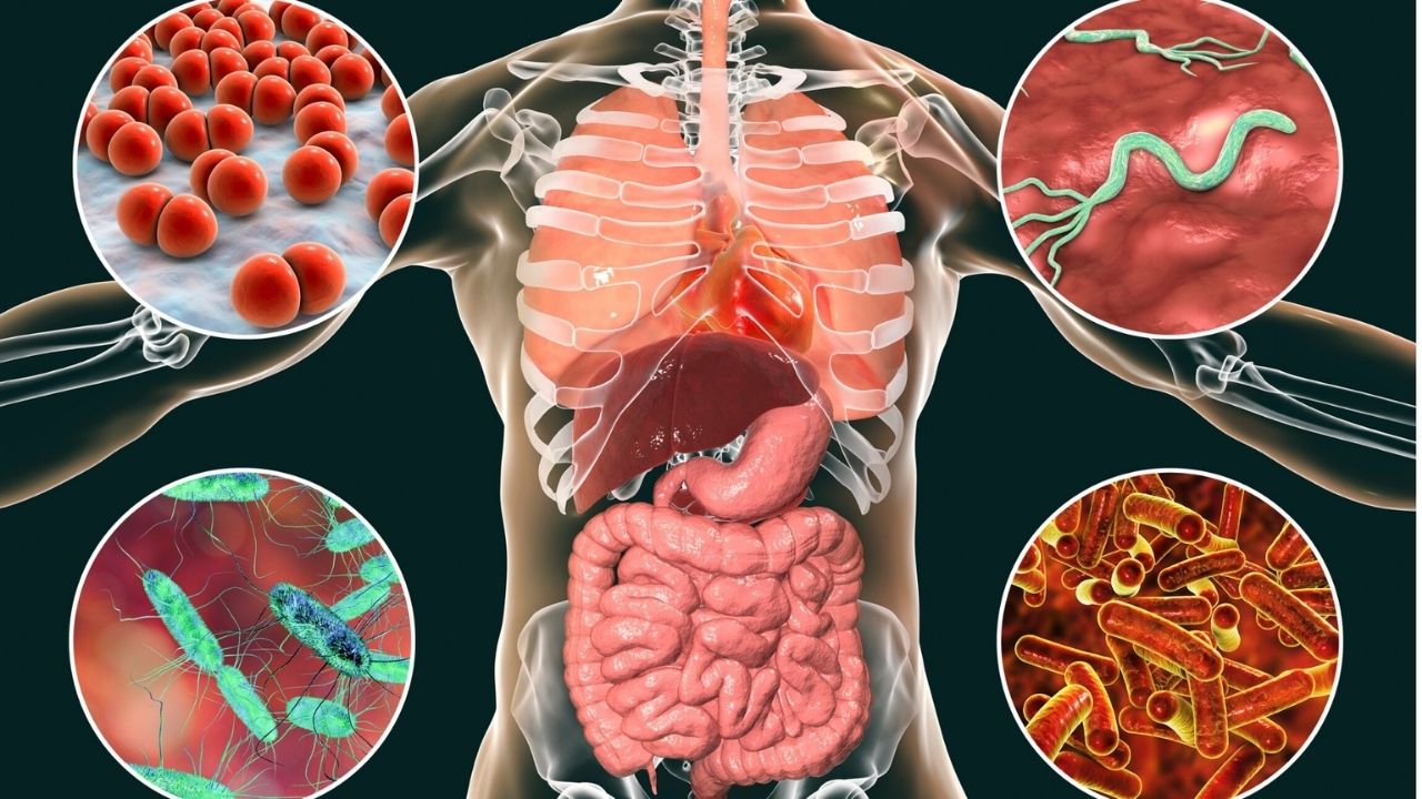 Read more about the article Human Diseases Types, Causes, Solutions, and Preventive Measures for a Healthy Life