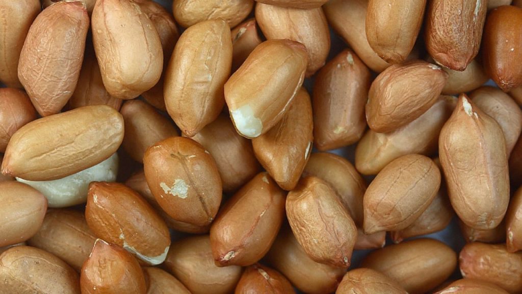 11 Protein Rich Dry Fruits for a Healthy Diet