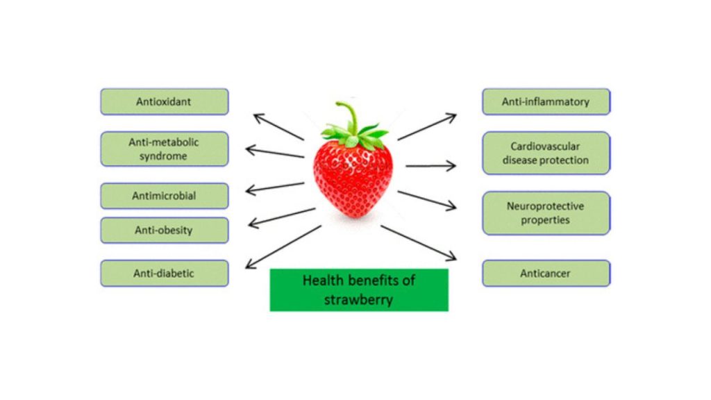 Health Benefits of Strawberries the Best Superfood Snack