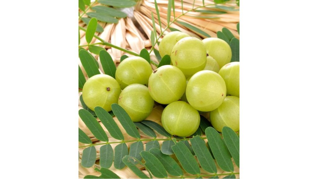 How to Make Amla Shots for Instant Hair Growth