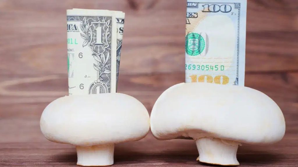 How to Earn Money from Mushroom Farming