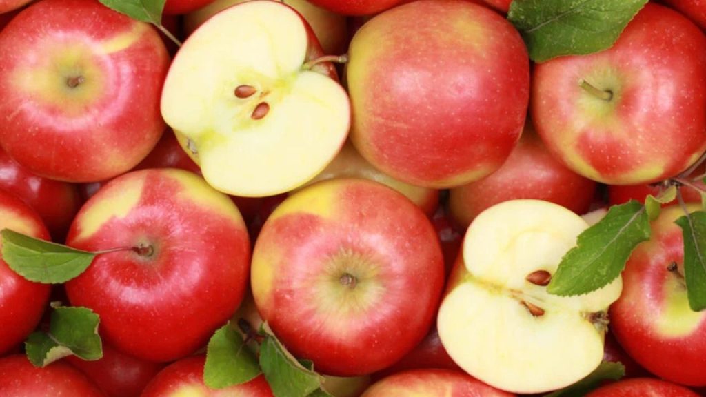 Fiber Rich Foods for Health