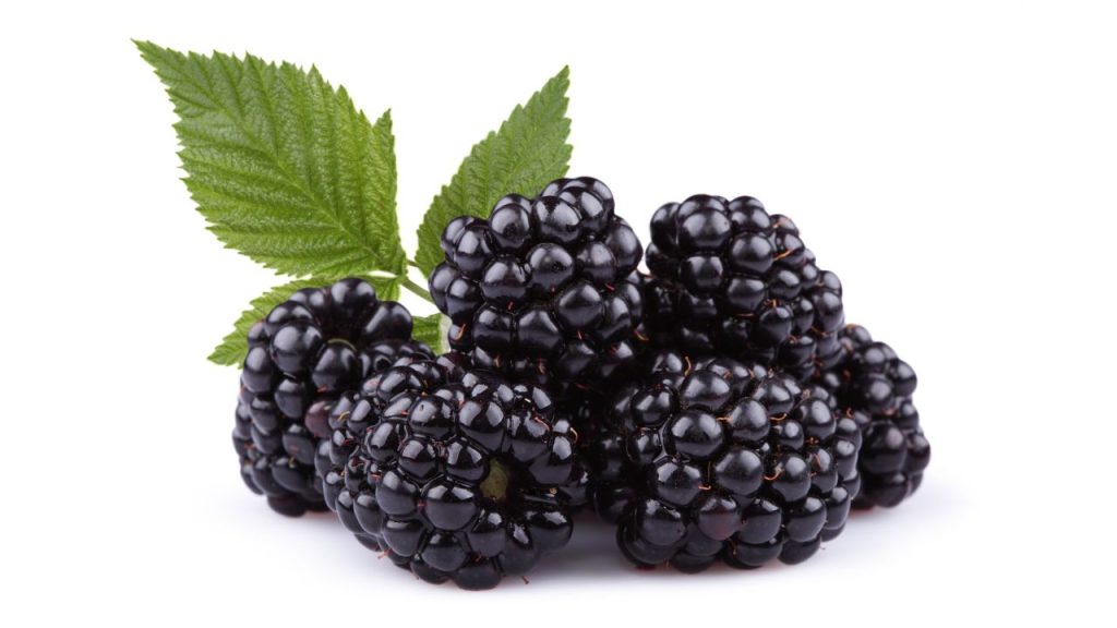 8 First Growing Fruits for Quick Harvest