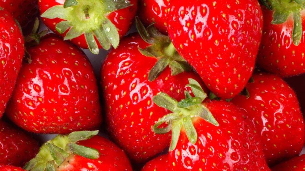 8 First Growing Fruits for Quick Harvest